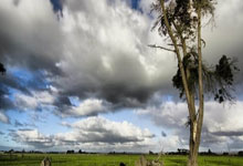 开云体育中国-姆巴佩赛道超车启示录，当足球与F1的争冠剧本重合